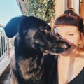ceciliagb @ceciliagb profile image