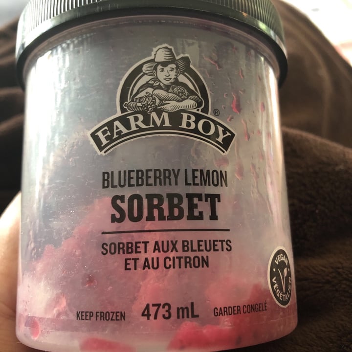 photo of Farm Boy Blueberry Lemon Sorbet shared by @mallybubs on  26 Jun 2021 - review