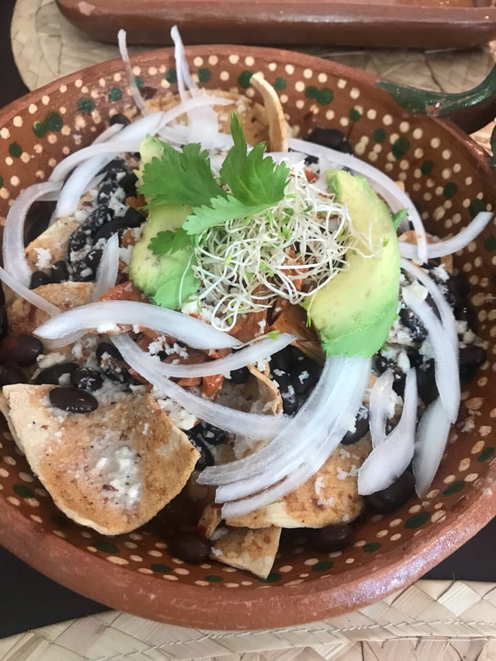 photo of La Casa de Las Mayoras Chilaquiles Con Yaca shared by @feerlara93 on  18 Dec 2019 - review