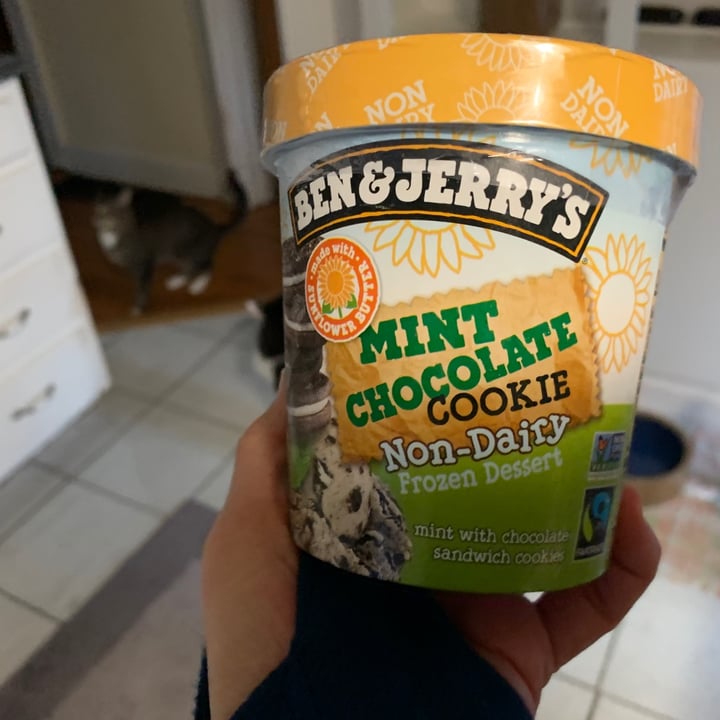 photo of Ben & Jerry's Mint Chocolate Cookie Non-Dairy Frozen Dessert shared by @allhess on  05 Feb 2021 - review