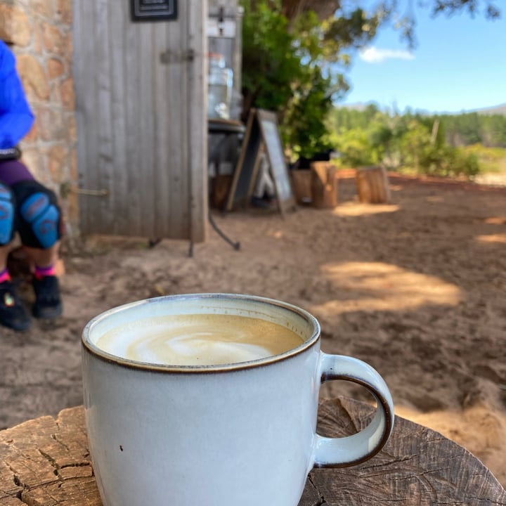 review photo of Secret Forest CafΓ© cappucino shared by @julievan on 03 Dec 2022 - review