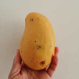 Mango ataulfo