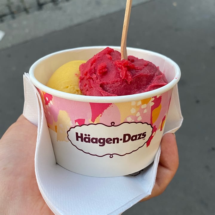 photo of Häagen-Dazs Raspberry and mango sorbet shared by @adadoglia on  28 Jun 2022 - review