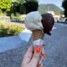 Non Solo Gelato