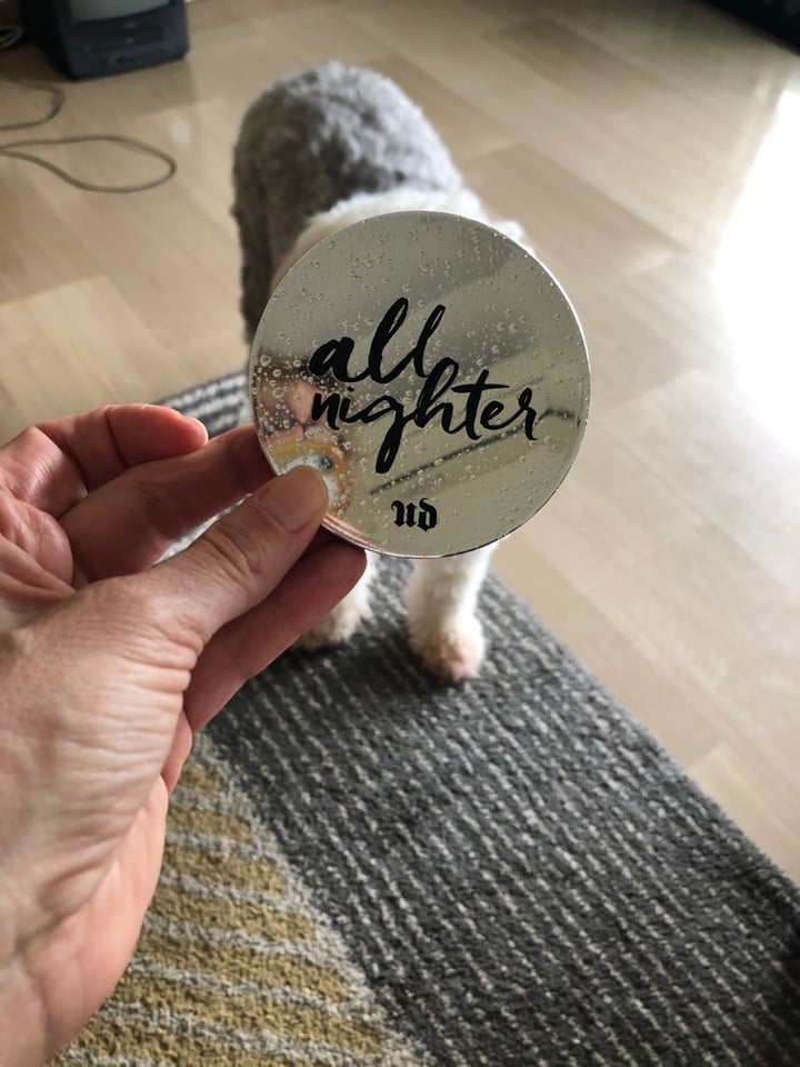 photo of Urban Decay All Nighter Waterproof Setting Powder shared by @brigittestaps on  15 Dec 2019 - review
