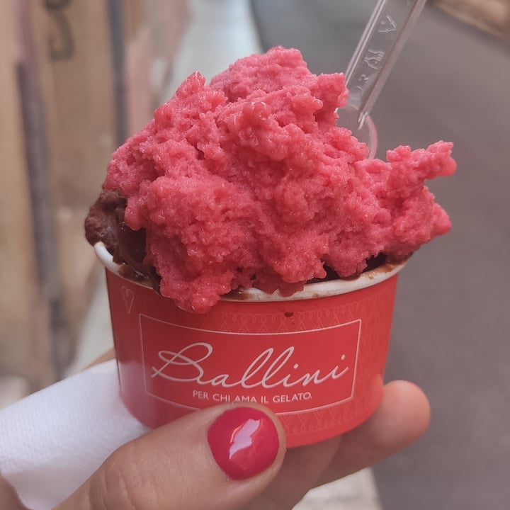 photo of Gelateria Ballini Verona gelato lamponi e cioccolato shared by @meba411 on  17 Sep 2022 - review