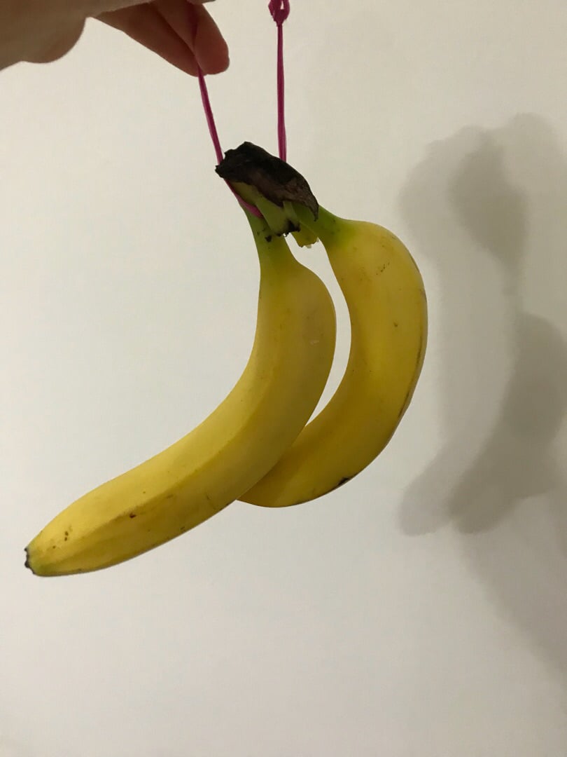 Avaliações de Cavendish bananas da Aloha | abillion