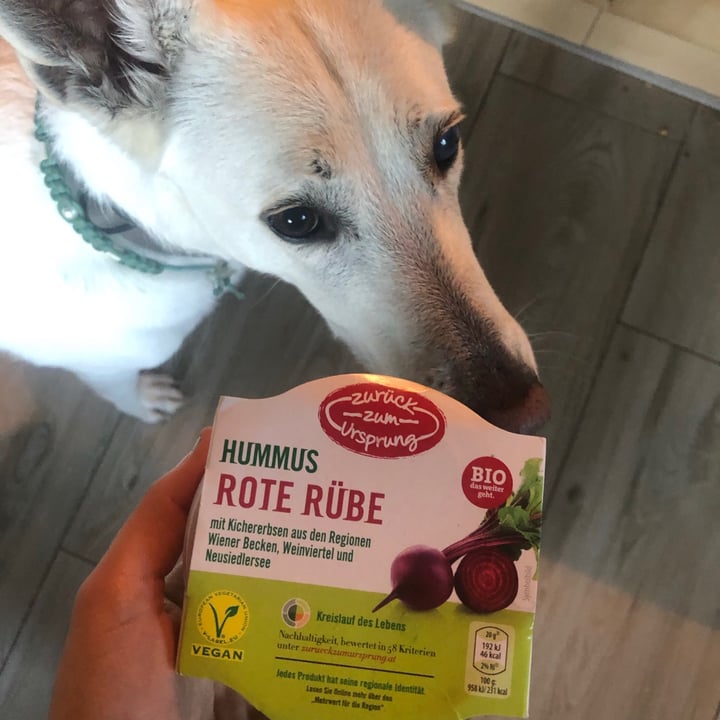 review photo of Zurück zum Ursprung Hummus Rote Rübe shared by @elenaeatsvegan on 14 Sep 2021 - review