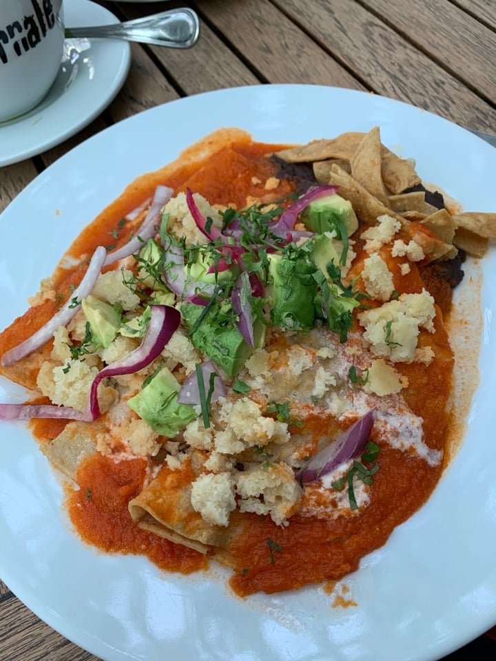 photo of Giornale Parque Interlomas Enchiladas De Yaca shared by @sandyna on  16 Jan 2020 - review