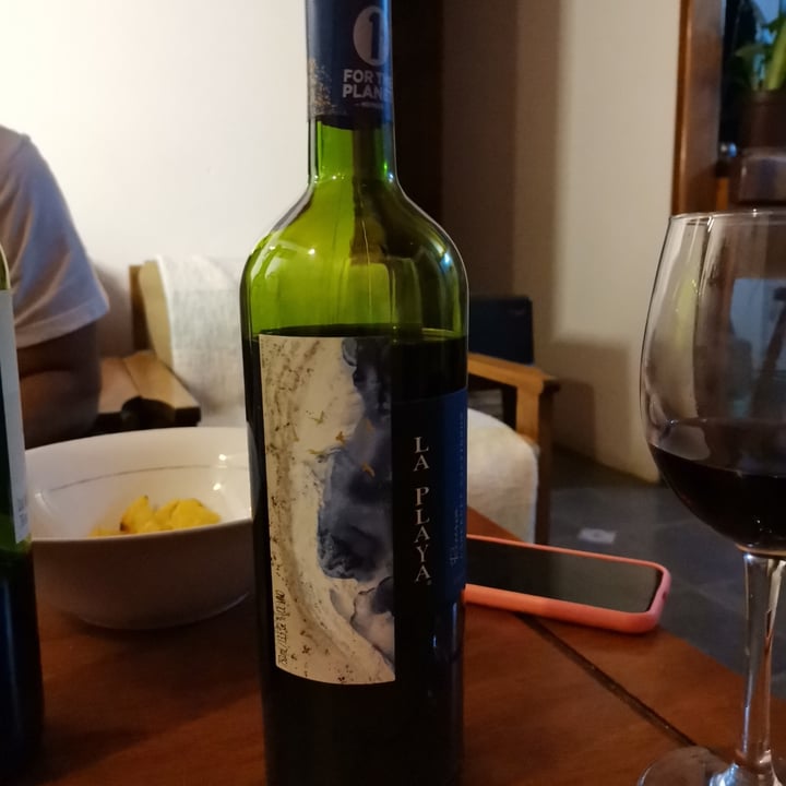 photo of Vilay Bebida De Almendras Sabor Original shared by @pablitrojimenez on  07 Aug 2022 - review