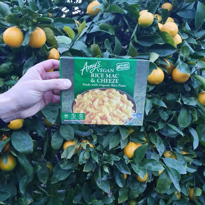 photo of Amy’s Vegan Organic Rice Mac & Cheeze shared by @paniwilson on  18 Jan 2022 - review
