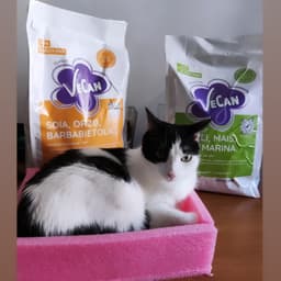 VeCan