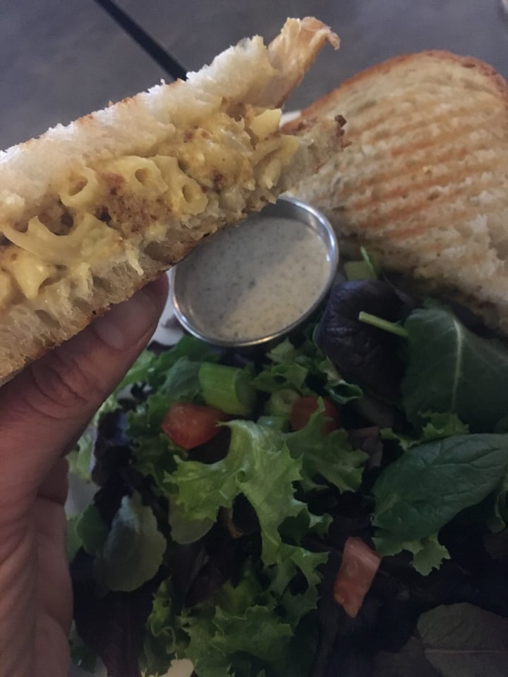 photo of Vtopia All Vegan Restaurant & Cheese Shop Cheese platter and grilled Mac N Cheez sandwich shared by @veghead on  21 Mar 2019 - review