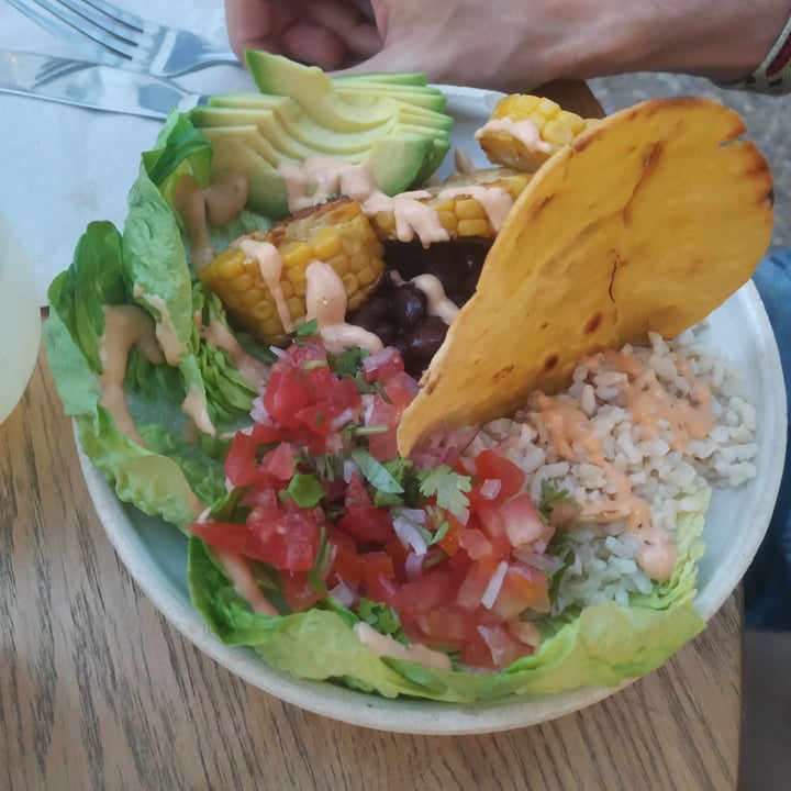 photo of Thank You Mother Burrito bowl shared by @despistaa on  18 Jun 2022 - review