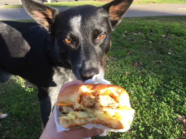 review photo of Vegan Fried Chick'n fried chicken burger shared by @raena on 03 Apr 2020 - review