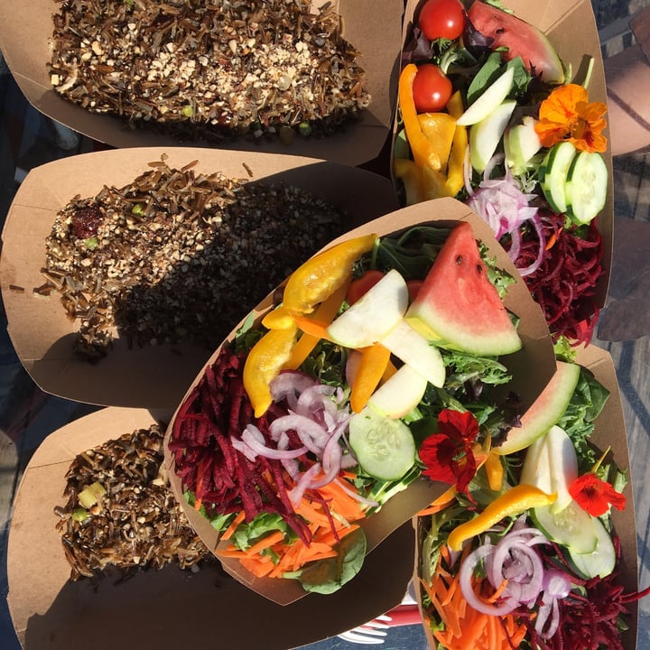 review photo of Angry Trout Cafe Wild Rice with Salad shared by @rachel0211 on 27 Aug 2020 - review