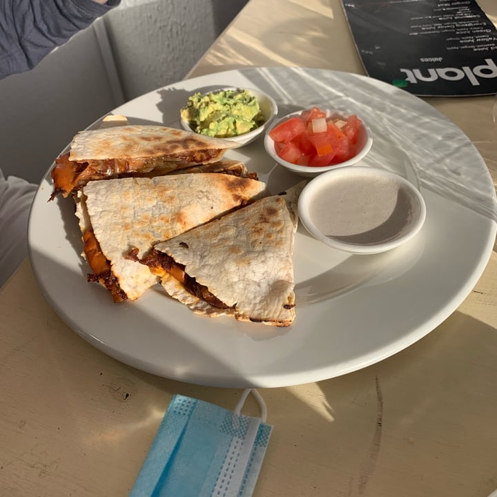 photo of Plant Quesadilla shared by @peppadew on  20 Feb 2022 - review