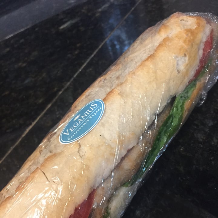 photo of Veganius Baguette Mila De Seitan shared by @malotaa on  02 Nov 2020 - review