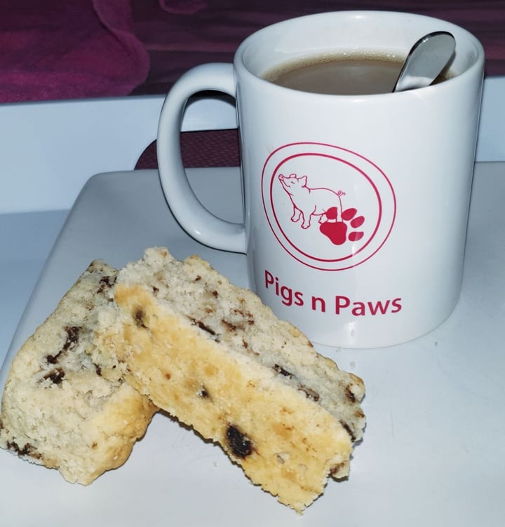 photo of Misfit Munchies Choc Chip Rusks shared by @cherisevogt2019 on  23 Nov 2019 - review