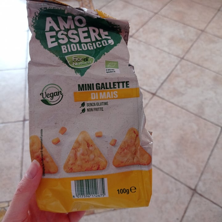 photo of Amo Essere Veg Mini Gallette Di Mais shared by @rebecamarras on  12 Apr 2022 - review