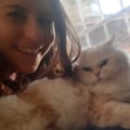 amorxlosanimales @amorxlosanimales profile image