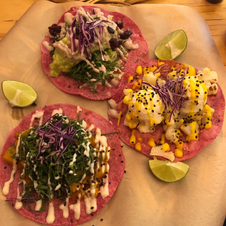 photo of La Pitahaya Vegana Tacos variados shared by @alyy on  10 Oct 2020 - review