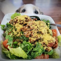 Tutto Pasta