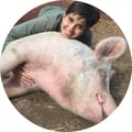 francius80 @francius80 profile image
