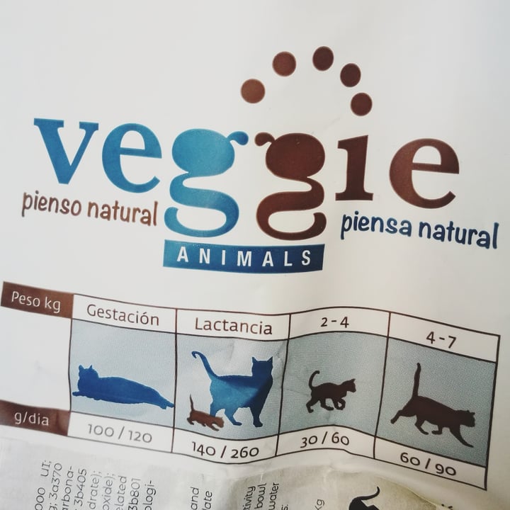 photo of VeggieAnimals VeggieAnimals PLUS - Gatos adultos shared by @neweh on  26 Sep 2020 - review