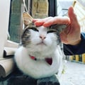 dadi @dadi profile image