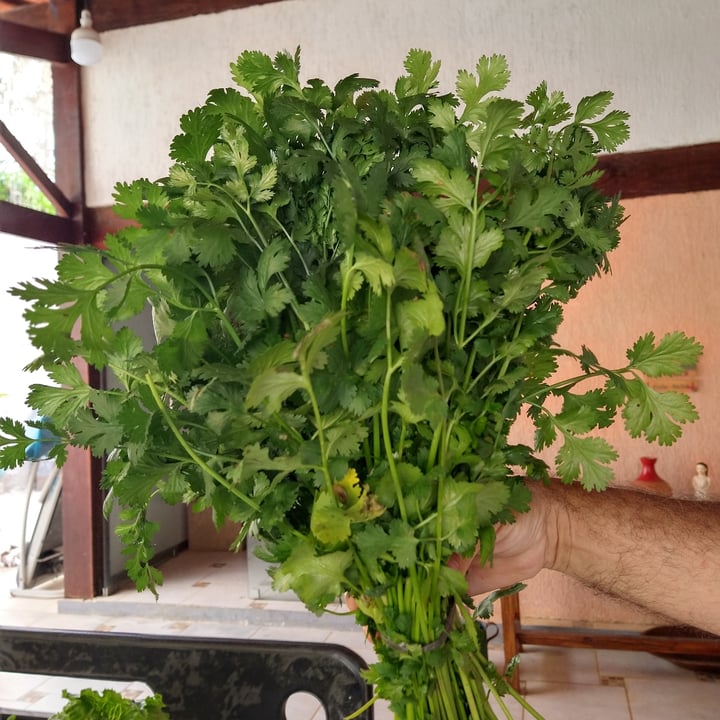 review photo of Cheiro Verde Cheiro verde shared by @mariadocarmovidalbas on 11 Jul 2022 - review