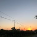 milagrosagus @milagrosagus profile image