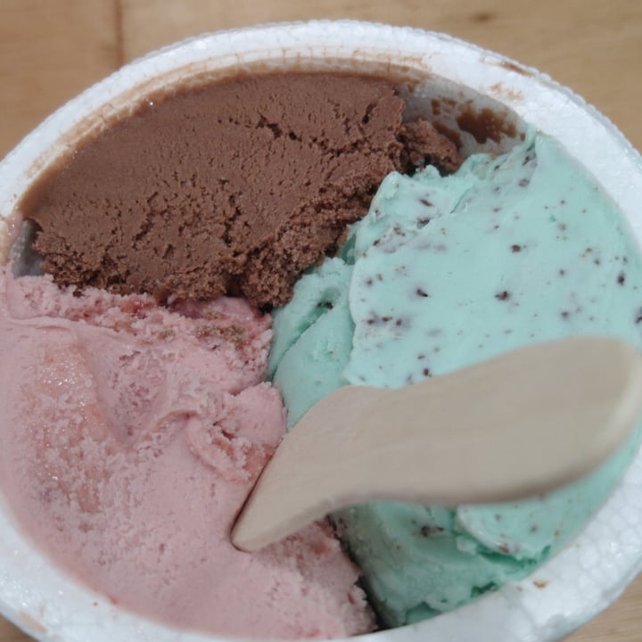 photo of Futuro Veggie Helado shared by @solre on  04 Dec 2020 - review
