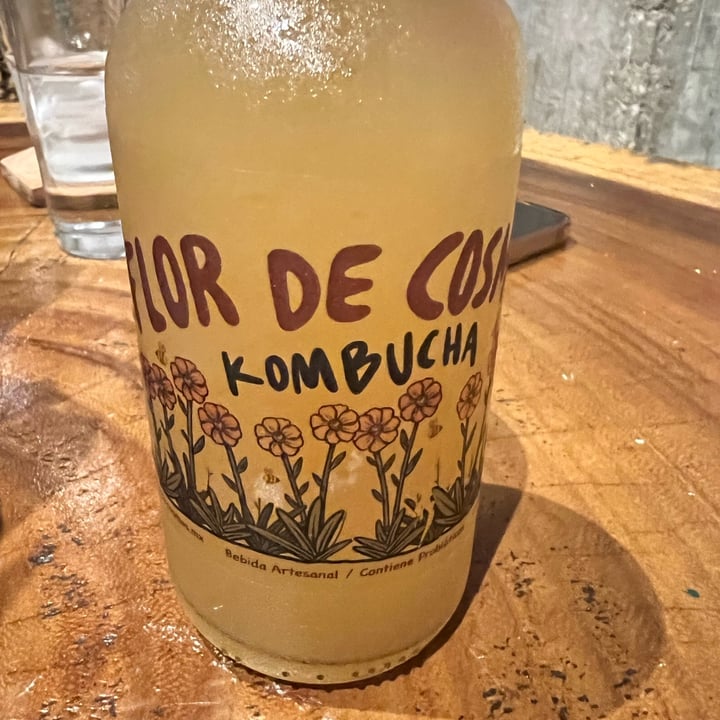 photo of The Green Place Mx Pineapple Kombucha shared by @veganmika on  08 Dec 2022 - review