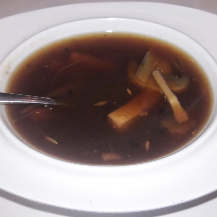 photo of VeGreen Vegetarian Fusion Restaurant Hot and Sour Soup shared by @carlajc on  17 Nov 2020 - review