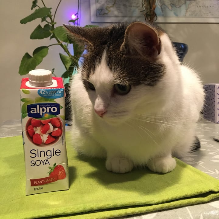 photo of Alpro Single Soya (Cream) shared by @addiec on  17 May 2020 - review