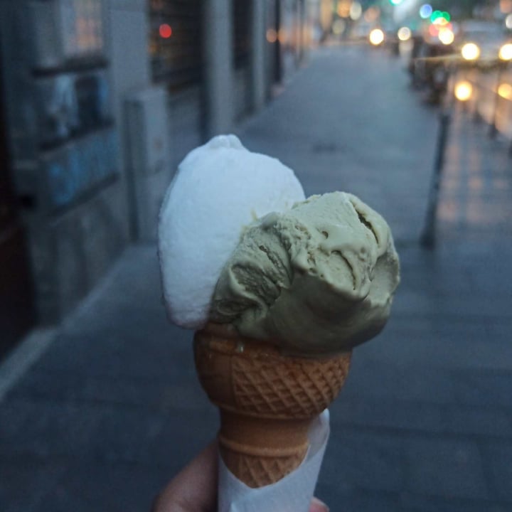 photo of Gelateria Mister Gel Vegan Icecream shared by @giuliakikiw on  11 May 2022 - review