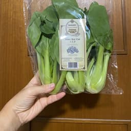 Uncle Jack’s Hydroponic Vegetable