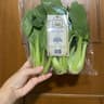Uncle Jack’s Hydroponic Vegetable