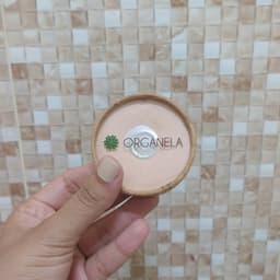 Organela