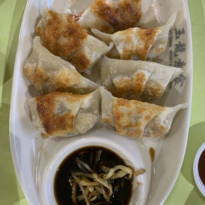 photo of Yu Long Vegetarian Food 玉龙素食 Fried Dumplings shared by @nonya on  17 Jul 2022 - review
