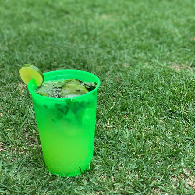 Photo of the dish “Mojito”