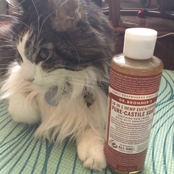 photo of Dr. Bronner's All-one Hemp eucalyptus Pure Castile Soap shared by @vivalaviolet on  22 Mar 2021 - review