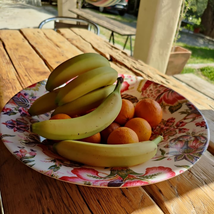 photo of B&B Casa dei Nonni Vegan Breakfast shared by @sharasaur on  28 Apr 2022 - review