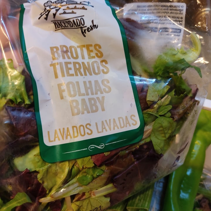 photo of Hacendado Brotes tiernos shared by @beatrizbs on  20 Jun 2021 - review