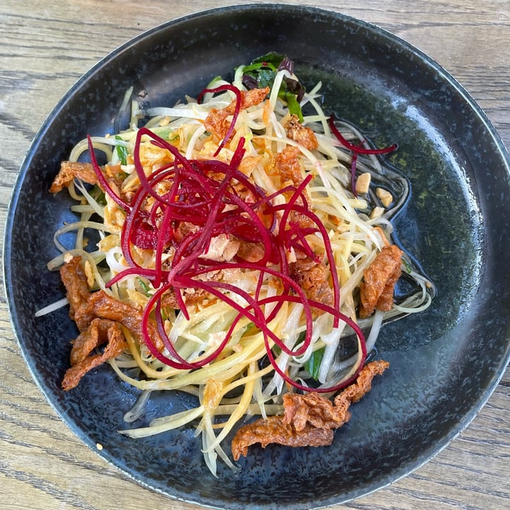 photo of GAO Vegan Restaurant Grüner Papaya Salat shared by @fbradaschia on  10 Jul 2022 - review