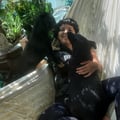 lucianaofelia @lucianaofelia profile image