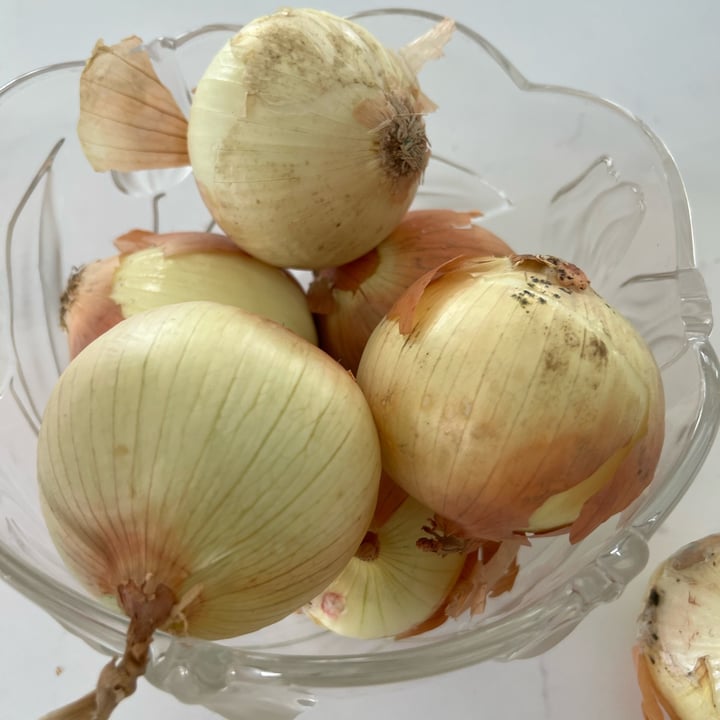 photo of Peri & Sons organic  sweet onions shared by @allycat38 on  14 Nov 2022 - review