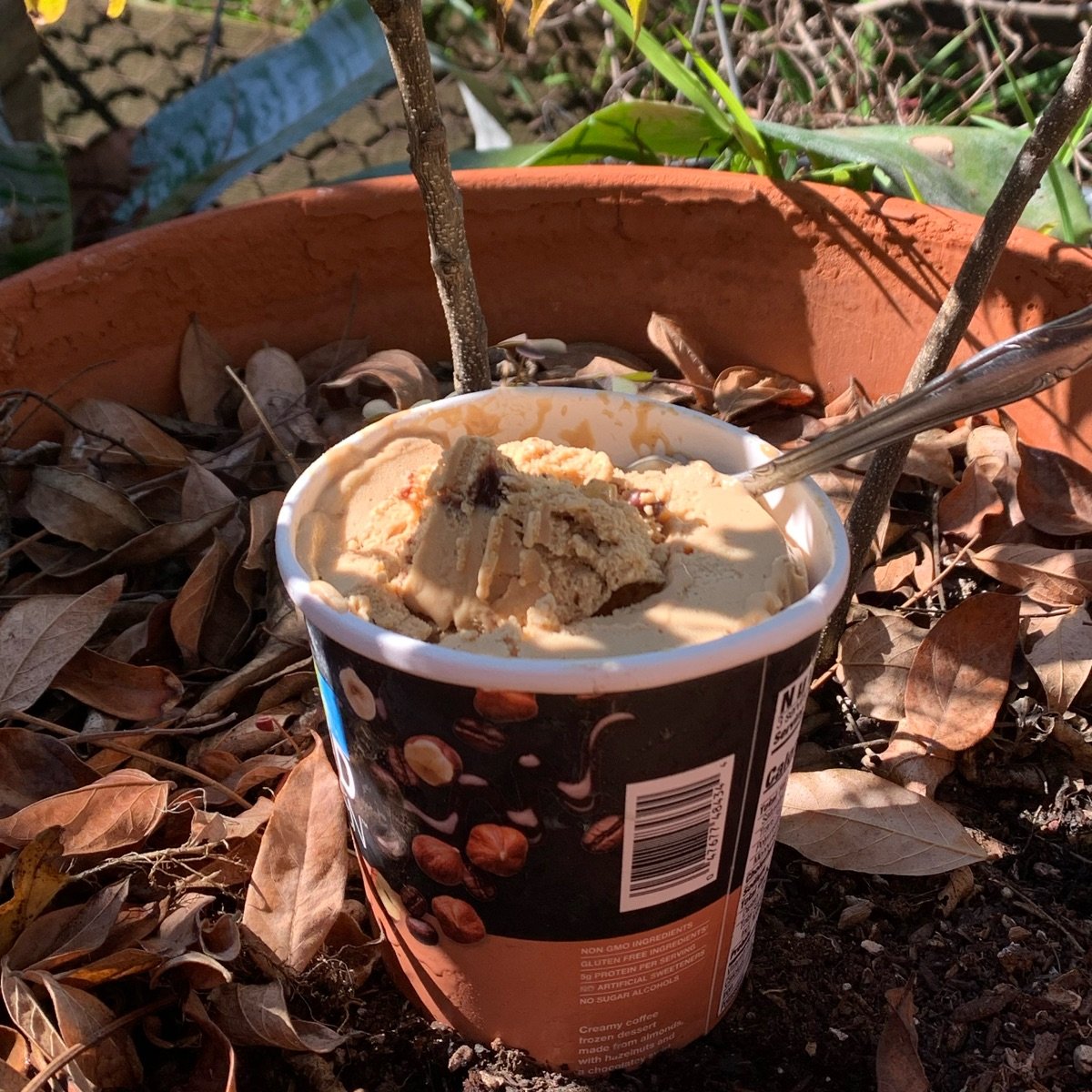 KIND Coffee Hazelnut Ice Cream Reviews abillion