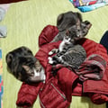 robertaroby @robertaroby profile image